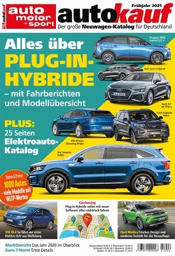 autokauf 02/2021 Frühjahr