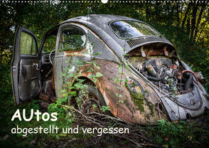 Autos, abgestellt und vergessen (Wandkalender 2021 DIN A2 quer) von Rosin,  Dirk
