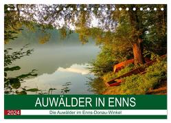Auwälder bei Enns (Tischkalender 2024 DIN A5 quer), CALVENDO Monatskalender von Simlinger,  Wolfgang