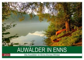 Auwälder bei Enns (Wandkalender 2024 DIN A2 quer), CALVENDO Monatskalender von Simlinger,  Wolfgang