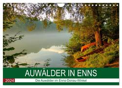 Auwälder bei Enns (Wandkalender 2024 DIN A4 quer), CALVENDO Monatskalender von Simlinger,  Wolfgang