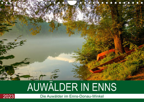 Auwälder bei EnnsAT-Version (Wandkalender 2023 DIN A4 quer) von Simlinger,  Wolfgang
