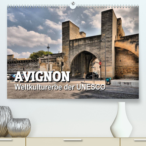 Avignon – Weltkulturerbe der UNESCO (Premium, hochwertiger DIN A2 Wandkalender 2022, Kunstdruck in Hochglanz) von Bartruff,  Thomas