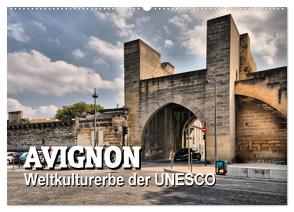 Avignon – Weltkulturerbe der UNESCO (Wandkalender 2024 DIN A2 quer), CALVENDO Monatskalender von Bartruff,  Thomas