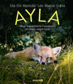 Ayla – meine ungewöhnliche Freundschaft mit einem jungen Fuchs von Grøtte,  Leiv Magnus, Matnisdal,  Silje Elin, Strerath-Bolz,  Dr. Ulrike