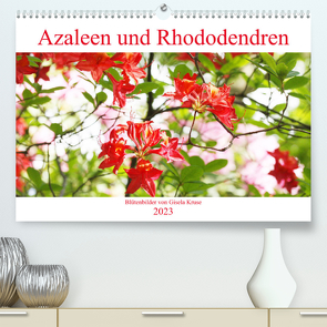 Azaleen und Rhododendren Blütenbilder (Premium, hochwertiger DIN A2 Wandkalender 2023, Kunstdruck in Hochglanz) von Kruse,  Gisela
