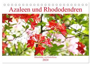 Azaleen und Rhododendren Blütenbilder (Tischkalender 2024 DIN A5 quer), CALVENDO Monatskalender von Kruse,  Gisela