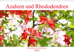 Azaleen und Rhododendren Blütenbilder (Wandkalender 2023 DIN A3 quer) von Kruse,  Gisela