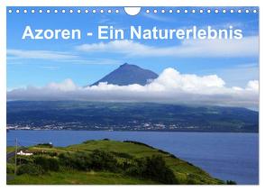 Azoren – Ein Naturerlebnis (Wandkalender 2024 DIN A4 quer), CALVENDO Monatskalender von Löwe,  Karsten