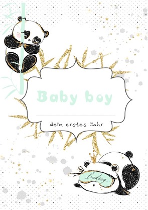 Baby boy dein erstes Jahr von Schuck,  Swetlana