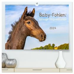 Baby-Fohlen: sonnige Impressionen (hochwertiger Premium Wandkalender 2024 DIN A2 quer), Kunstdruck in Hochglanz von v Conta,  Margret