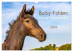 Baby-Fohlen: sonnige Impressionen (Wandkalender 2024 DIN A3 quer), CALVENDO Monatskalender von v Conta,  Margret