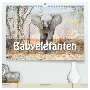Babyelefanten (hochwertiger Premium Wandkalender 2024 DIN A2 quer), Kunstdruck in Hochglanz von Styppa,  Robert