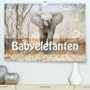 Babyelefanten (Premium, hochwertiger DIN A2 Wandkalender 2023, Kunstdruck in Hochglanz) von Styppa,  Robert