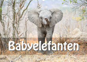 Babyelefanten (Wandkalender 2023 DIN A2 quer) von Styppa,  Robert