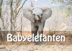 Babyelefanten (Wandkalender 2023 DIN A3 quer) von Styppa,  Robert