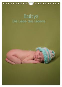 Babys – Die Liebe des Lebens (Wandkalender 2024 DIN A4 hoch), CALVENDO Monatskalender von Drömer Photography,  Sascha