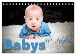 Babys – so süße (Tischkalender 2024 DIN A5 quer), CALVENDO Monatskalender von Schöb,  Monika