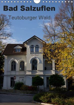 Bad Salzuflen – Teutoburger Wald (Wandkalender 2019 DIN A4 hoch) von Peitz,  Martin