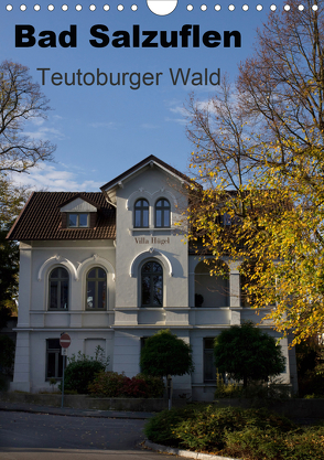 Bad Salzuflen – Teutoburger Wald (Wandkalender 2020 DIN A4 hoch) von Peitz,  Martin