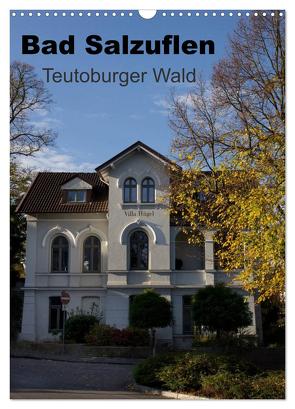 Bad Salzuflen – Teutoburger Wald (Wandkalender 2024 DIN A3 hoch), CALVENDO Monatskalender von Peitz,  Martin