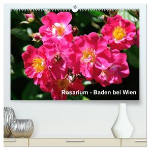 Baden bei Wien – Rosarium (hochwertiger Premium Wandkalender 2024 DIN A2 quer), Kunstdruck in Hochglanz von J. Strutz,  Rudolf
