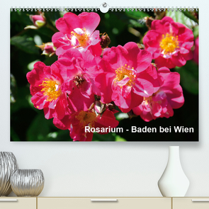 Baden bei Wien – Rosarium (Premium, hochwertiger DIN A2 Wandkalender 2021, Kunstdruck in Hochglanz) von J. Strutz,  Rudolf