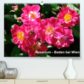 Baden bei Wien – Rosarium (Premium, hochwertiger DIN A2 Wandkalender 2022, Kunstdruck in Hochglanz) von J. Strutz,  Rudolf
