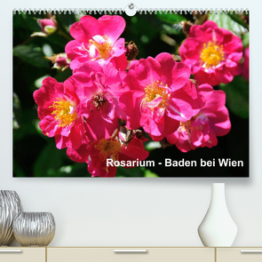 Baden bei Wien – Rosarium (Premium, hochwertiger DIN A2 Wandkalender 2023, Kunstdruck in Hochglanz) von J. Strutz,  Rudolf