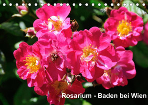 Baden bei Wien – Rosarium (Tischkalender 2022 DIN A5 quer) von J. Strutz,  Rudolf