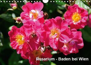 Baden bei Wien – Rosarium (Wandkalender 2019 DIN A4 quer) von J. Strutz,  Rudolf