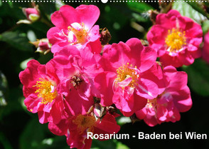 Baden bei Wien – Rosarium (Wandkalender 2022 DIN A2 quer) von J. Strutz,  Rudolf
