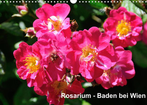 Baden bei Wien – Rosarium (Wandkalender 2022 DIN A3 quer) von J. Strutz,  Rudolf