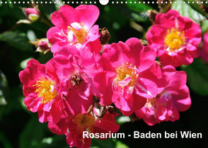 Baden bei Wien – Rosarium (Wandkalender 2023 DIN A3 quer) von J. Strutz,  Rudolf