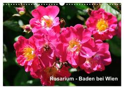 Baden bei Wien – Rosarium (Wandkalender 2024 DIN A3 quer), CALVENDO Monatskalender von J. Strutz,  Rudolf