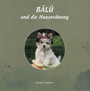 BÄLÜ und die Hausordnung von Braun,  Doris D.