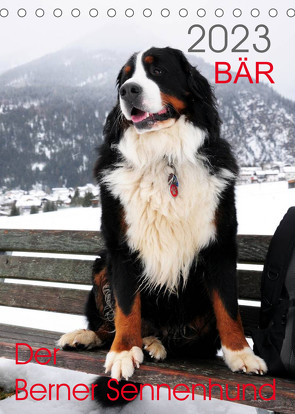BÄR – Der Berner Sennenhund (Tischkalender 2023 DIN A5 hoch) von Brenner,  Sonja