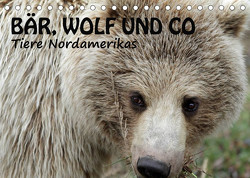 Bär, Wolf und Co – Tiere Nordamerikas (Tischkalender 2023 DIN A5 quer) von Salzmann,  Ursula