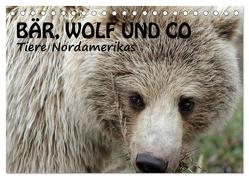 Bär, Wolf und Co – Tiere Nordamerikas (Tischkalender 2024 DIN A5 quer), CALVENDO Monatskalender von Salzmann,  Ursula