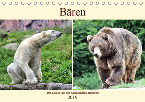 Bären – Der Eisbär und der Kamtschatka-Braunbär (Tischkalender 2019 DIN A5 quer) von Klatt,  Arno