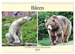 Bären – Der Eisbär und der Kamtschatka-Braunbär (Wandkalender 2024 DIN A4 quer), CALVENDO Monatskalender von Klatt,  Arno