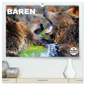 Bären (hochwertiger Premium Wandkalender 2024 DIN A2 quer), Kunstdruck in Hochglanz von Stanzer,  Elisabeth