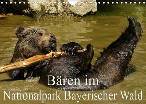 Bären im Nationalpark Bayerischer Wald (Wandkalender 2023 DIN A4 quer) von Müller,  Erika