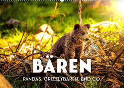 Bären – Pandas, Grizzlybären und Co. (Wandkalender 2023 DIN A2 quer) von SF