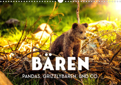 Bären – Pandas, Grizzlybären und Co. (Wandkalender 2023 DIN A3 quer) von SF