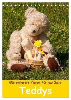 Bärenstarker Planer für das Jahr – Teddys (Tischkalender 2024 DIN A5 hoch), CALVENDO Monatskalender von Bölts,  Meike