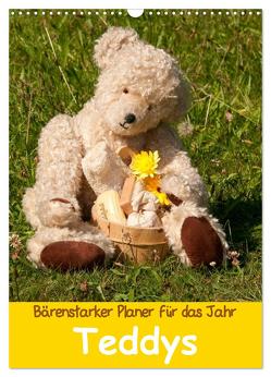 Bärenstarker Planer für das Jahr – Teddys (Wandkalender 2024 DIN A3 hoch), CALVENDO Monatskalender von Bölts,  Meike