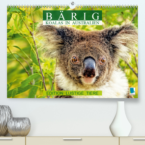 Bärig: Koalas in Australien – Edition lustige Tiere (Premium, hochwertiger DIN A2 Wandkalender 2021, Kunstdruck in Hochglanz) von CALVENDO