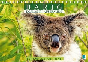 Bärig: Koalas in Australien – Edition lustige Tiere (Tischkalender 2018 DIN A5 quer) von CALVENDO