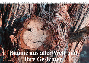 Bäume aus aller Welt und ihre Gesichter (Tischkalender 2023 DIN A5 quer) von Struve,  Andreas